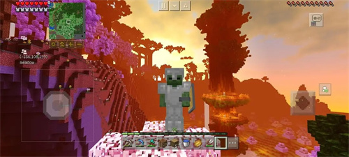 我的世界国际版