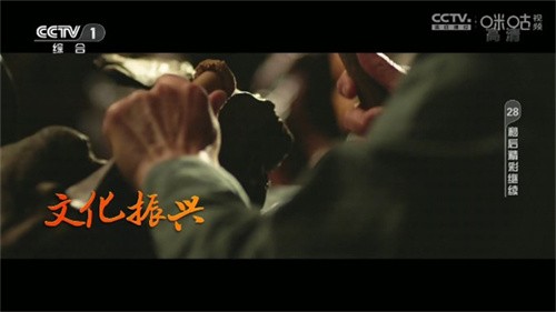 神鸟电视TV版截图2