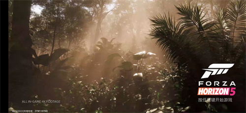 地平线5手机版截图2