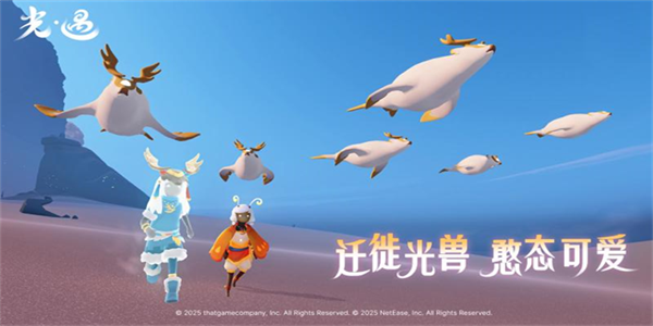 光遇手游全部版本大全