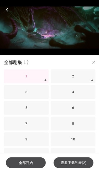 neets追剧神器