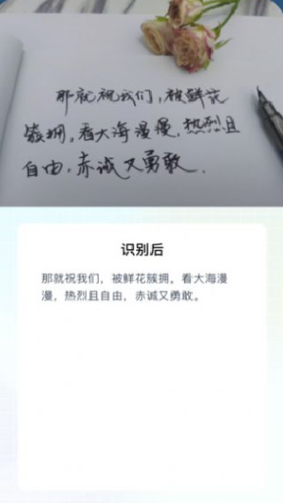 手写识别王