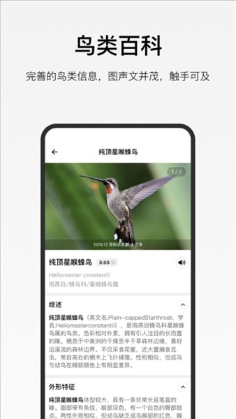 懂鸟截图1