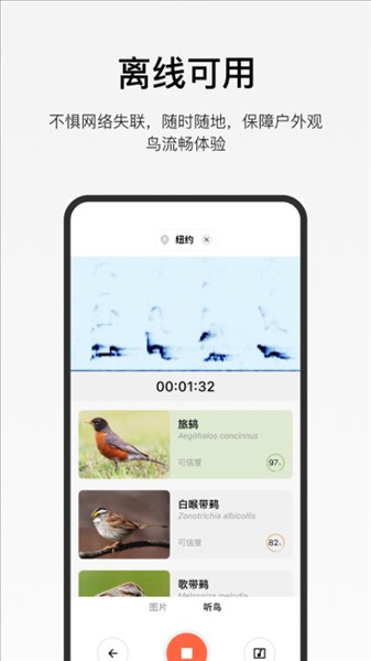 懂鸟截图3