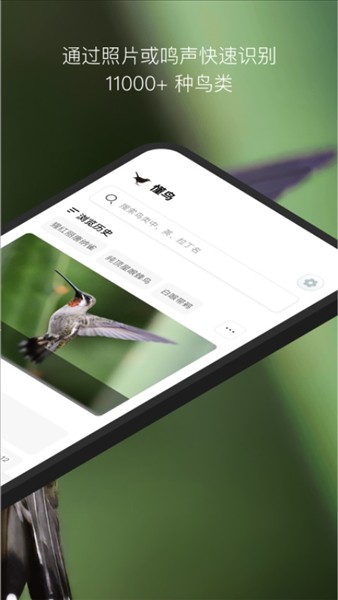懂鸟截图4