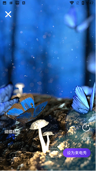 炫彩来电秀